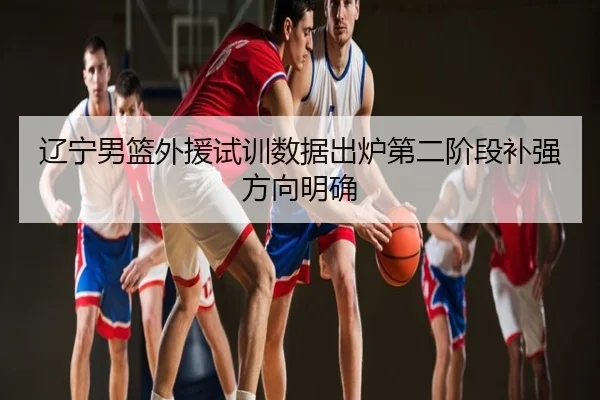 辽宁男篮外援试训数据出炉第二阶段补强方向明确